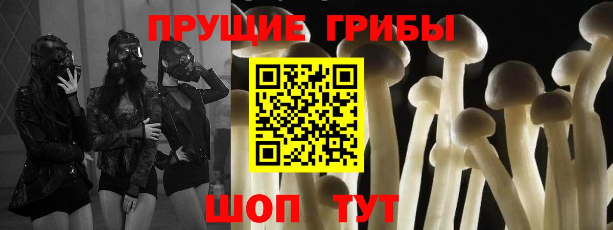 Галлюциногенные грибы прущие грибы Егорьевск